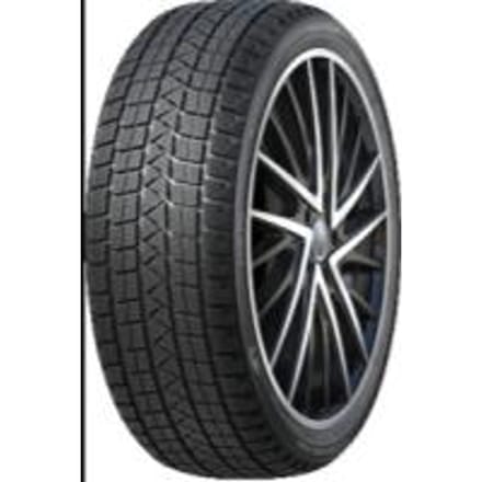 Winter Pro TSS1