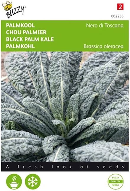 Buzzy® Specialties Palmkool Nero di Toscane