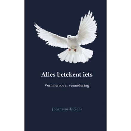 Alles Betekent Iets - Joost van de Goor