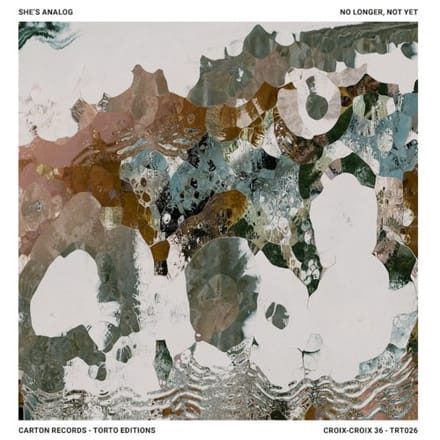 She's Analog - No Longer, Not Yet (LP)