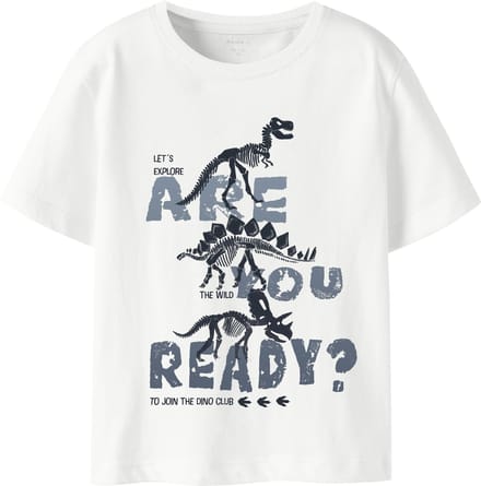 NAME IT - NMMFABIAK SS NREG TOP BOX - Jongens - Lange mouwen shirts