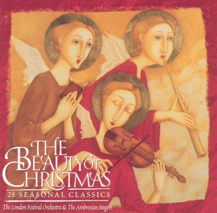 The Beauty Of Christmas 28