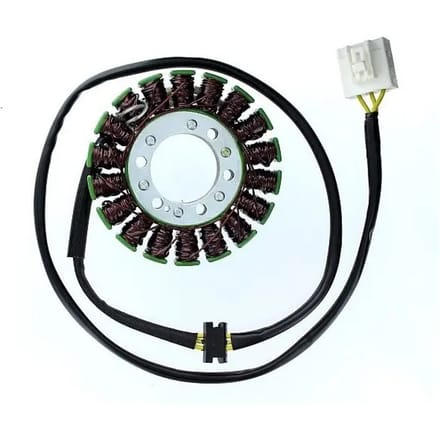 Originele aanpasbare motor dynamo Electrosport Kawasaki