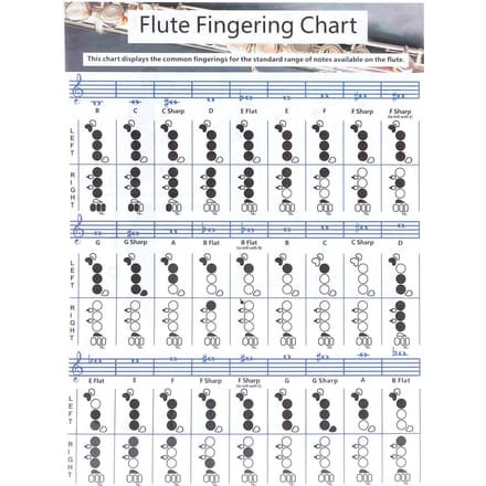 Fluit Vingerzetting Akkoorddiagram Beginner Student Oefening Lesmateriaal Instrument gray