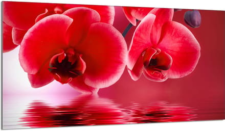 TMK ArtDeko - Orchidee Snijplank - 90x52 cm - Hittebestendig Glas - Antibacterieel