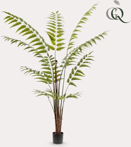 Kunstplant - Rumohra Adiantiformis - Ledervaren - 180 cm