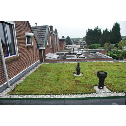 Intergard Groendak Sedummixmat per m2