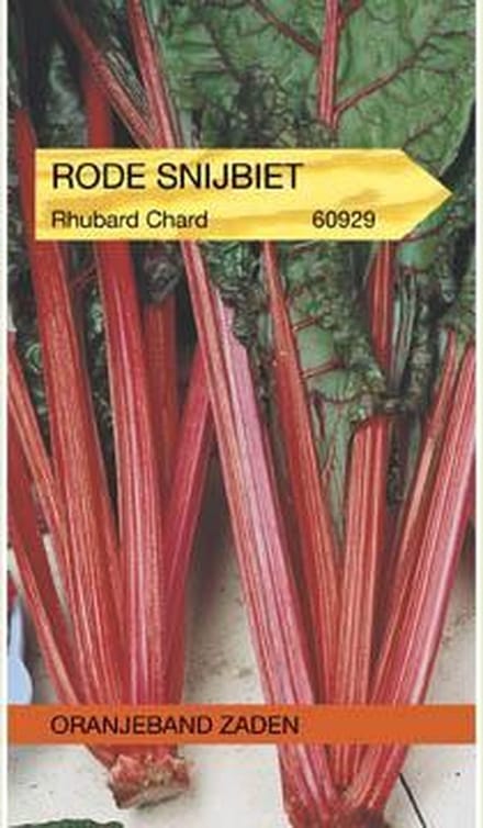 Oranjebandzaden -  Snijbiet Rhubarb Chard