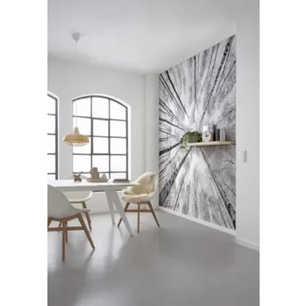 Fotobehang Weiss - Blauw - Zwart - 2,80m X 450cm