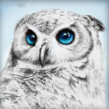Peinture de diamant d'animaux, image de strass, broderie de hibou, affichage complet, décoration de maison 30x30CM gray