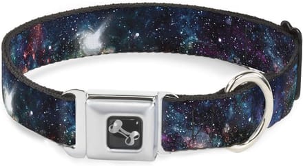 Hondenhalsband met Galaxie Collage en Bot Motief - Klein 22,9-38,1 cm