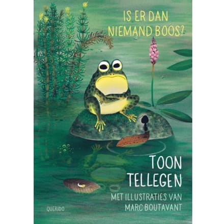 Is Er Dan Niemand Boos? - Boos - Toon Tellegen