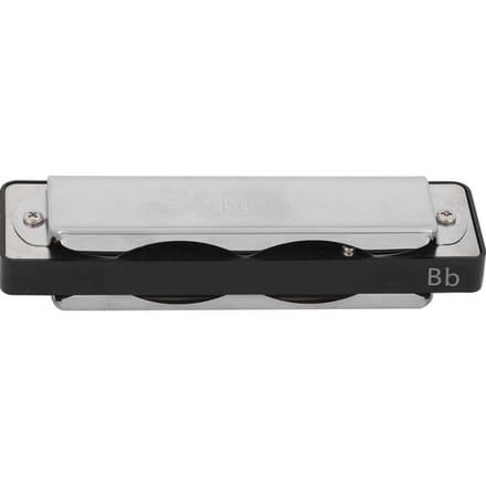 10?Mondharmonica Blues Bb Toon Harp Wind Muziekinstrument Beginner Oefening AM?20DBlauw