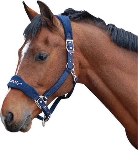 Pagony Halster Reno - Maat: Cob - Donkerblauw - Nylon