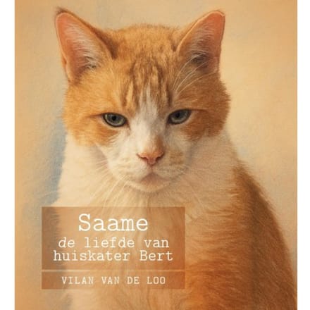 Saame - Vilan Van de Loo