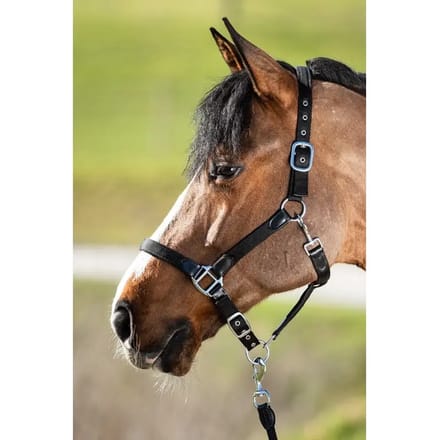 Halster voor paarden HFI Smart