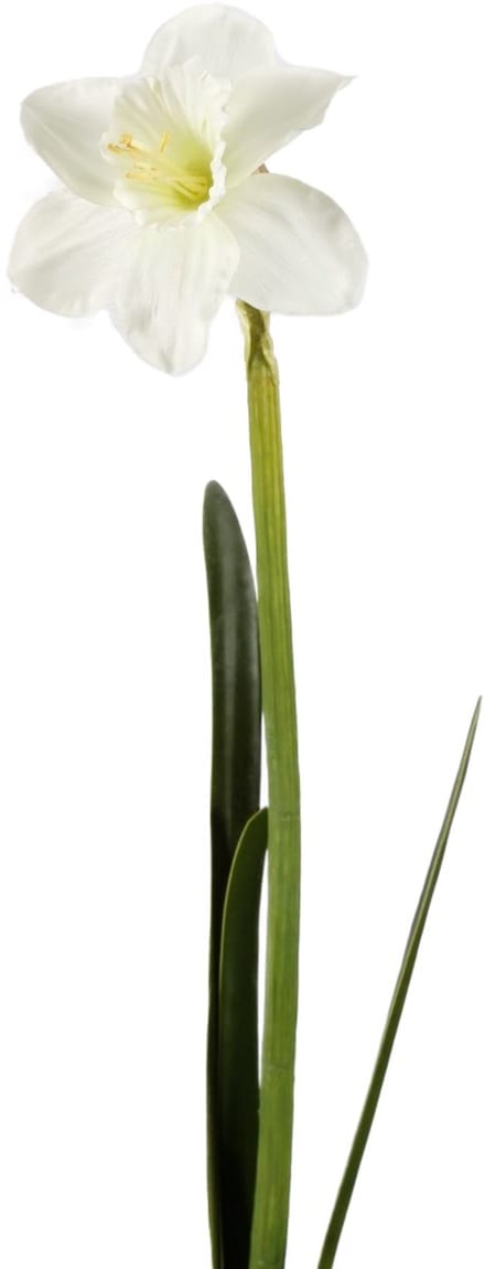 Viv! Home Luxuries Narcis - zijden bloem - wit - 57cm