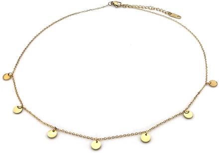 Ketting met munten - RVS - goudkleurig - 40-45 cm