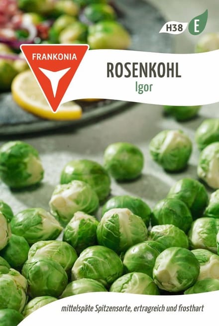 Spruitjes, Igor - groentezaden, zaden