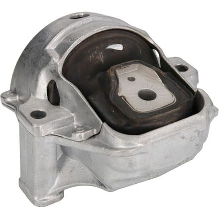Motorsteun REINHOCH RH11-0142