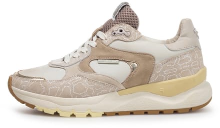 Floris van Bommel SFW-10164-34-01 / Treni 02.00