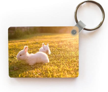 Sleutelhanger - Konijnen - Baby - Wit - Uitdeelcadeautjes - Plastic