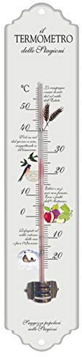 Metalen Thermometer 30cm met Kleurige Afbeelding