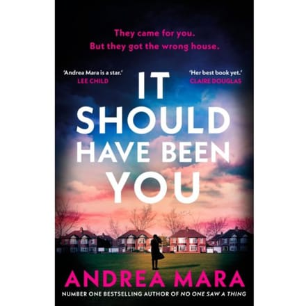 It Should Have Been You - Andrea Mara