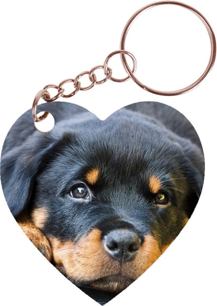 Sleutelhanger hartje 5x5cm - Rottweiler Hond Liggend