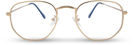 BL Hexagonal Rose Gold - Blauw licht bril - Blue light glasses - Computer bril