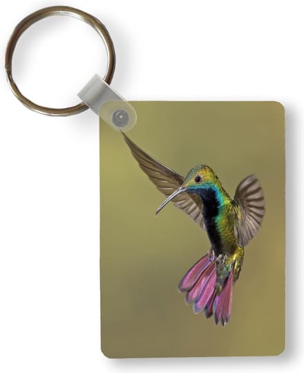 Sleutelhanger - Kolibrie - Groen - Paars - Uitdeelcadeautjes - Plastic