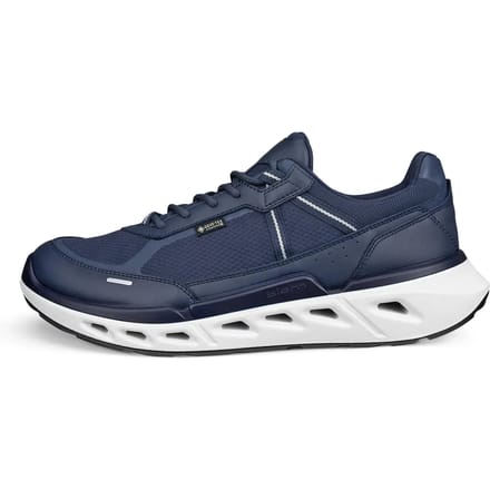 Sneakers Ecco Biom 720 GTX