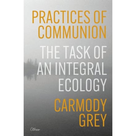 Practices Of Communion - Carmody Grey
