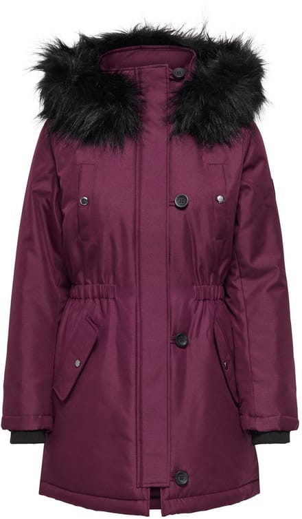 ONLY - ONLIRIS FUR WINTER PARKA LIFE CC OTW - Dames - Gewatteerde jassen