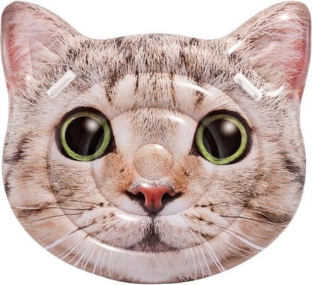 Intex luchtbed kat
