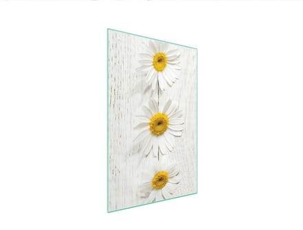 TMK ArtDeko Serie - Snijplank van glas - 35x52 cm - Hittebestendig - Antibacterieel
