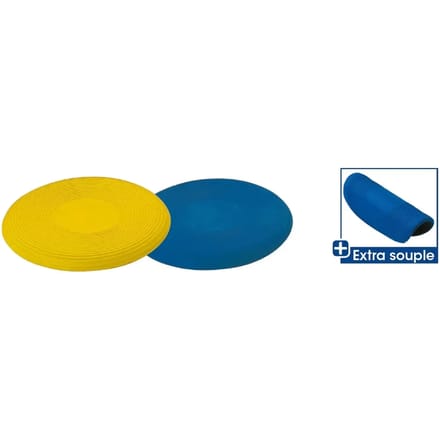 Primaire Frisbee Tremblay
