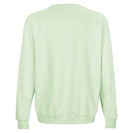 SOLS Columbia Crew Neck Sweatshirt voor volwassenen (Romig groen)