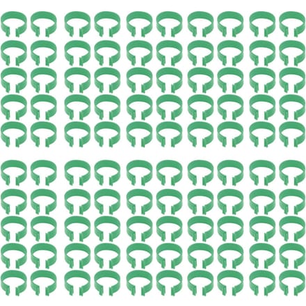 100 Stuks Pluimvee Voetring Open Type Gesp Kweek Kip Eend Gans Voetring Kip Accessoire 20mm / 0.8in groen