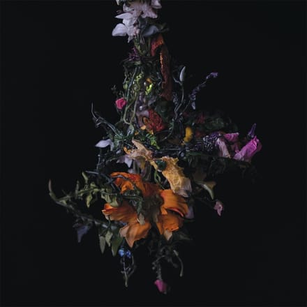 Big|Brave - Nature Morte (CD)
