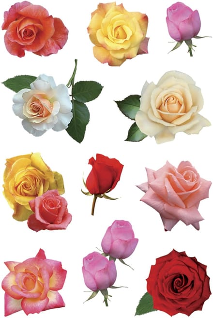 HERMA 3308 Stickers Décor Rozenbloesems