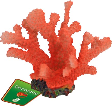 De Boon Rode Bloem 13X10CM