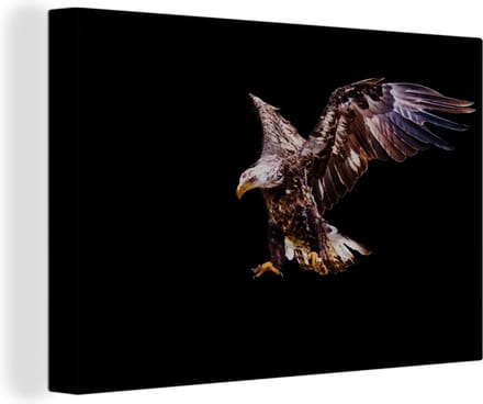 Canvas Schilderij Adelaar - Arend - Nacht - Vogels - 90x60 cm - Wanddecoratie
