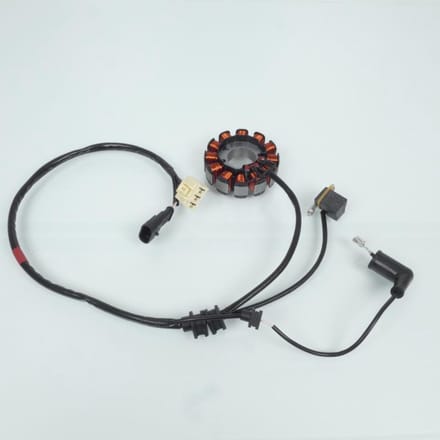 Stator rotor d allumage RMS pour Scooter Piaggio 125 Vespa S 2012 MM68301 Neuf