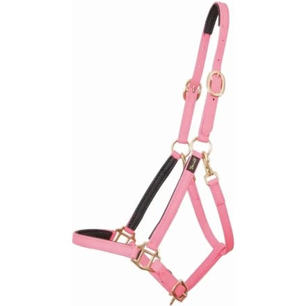 Halster voor paarden T de T Biotack®