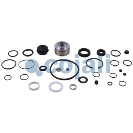 Reparatieset, koppelingsbekrachtiger COJALI 6012231