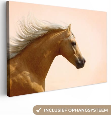 Canvas Schilderij Paard - Licht - Lucht - 90x60 cm - Wanddecoratie