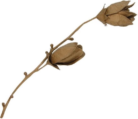 Decopatch - Bloem - Magnolie