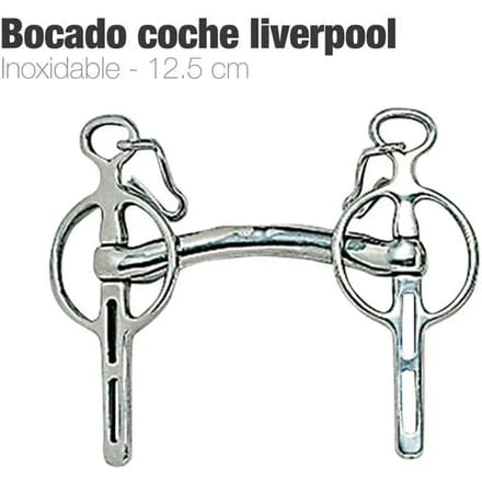 Liverpool bustrens voor paard Zaldi 212551