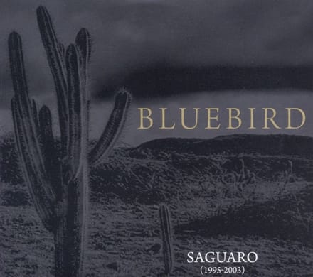 Saguaro (1995-2003)